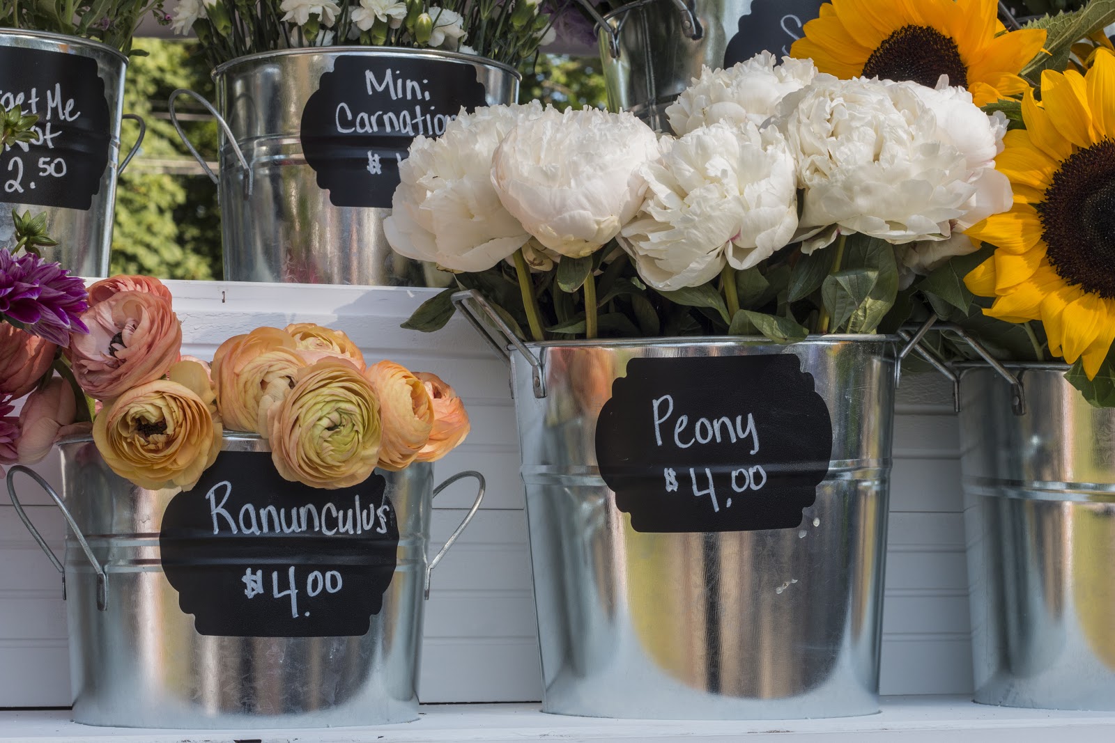 Marla's favorite flower, the Peony, displayed alongside other floral options. Photo by Joni Johnson. 